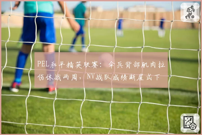 PEL和平精英联赛:伞兵背部肌肉拉伤休战两周,NV战队成绩断崖式下滑