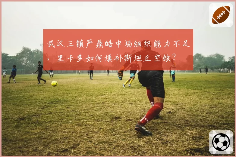 武汉三镇严鼎皓中场组织能力不足，里卡多如何填补斯坦丘空缺？