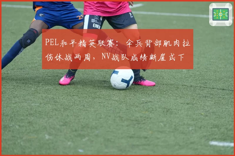 PEL和平精英联赛:伞兵背部肌肉拉伤休战两周,NV战队成绩断崖式下滑