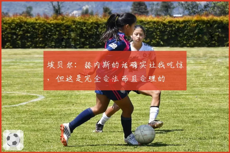 埃贝尔：赫内斯的话确实让我吃惊，但这是完全合法而且合理的