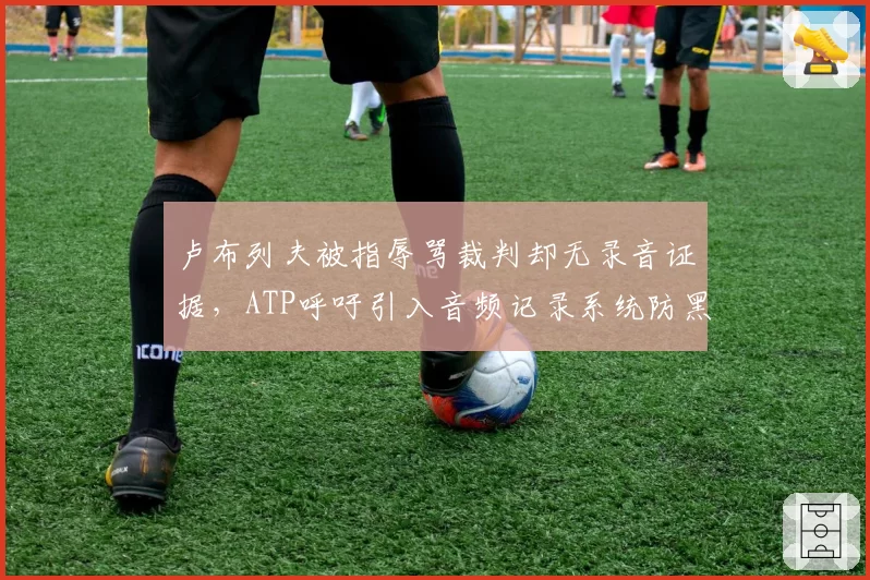 卢布列夫被指辱骂裁判却无录音证据，ATP呼吁引入音频记录系统防黑幕