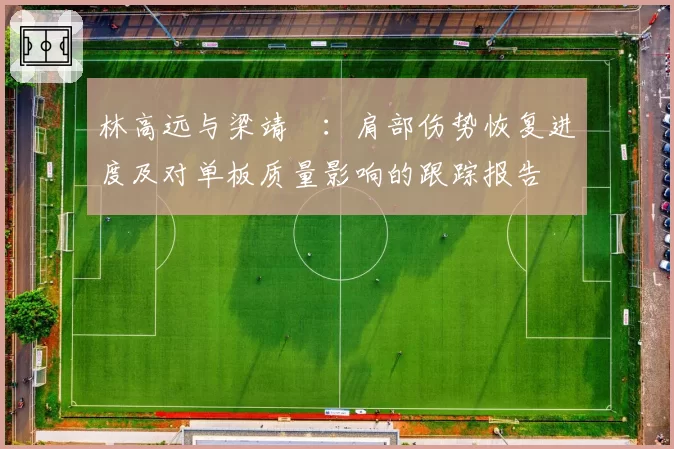 林高远与梁靖崑：肩部伤势恢复进度及对单板质量影响的跟踪报告